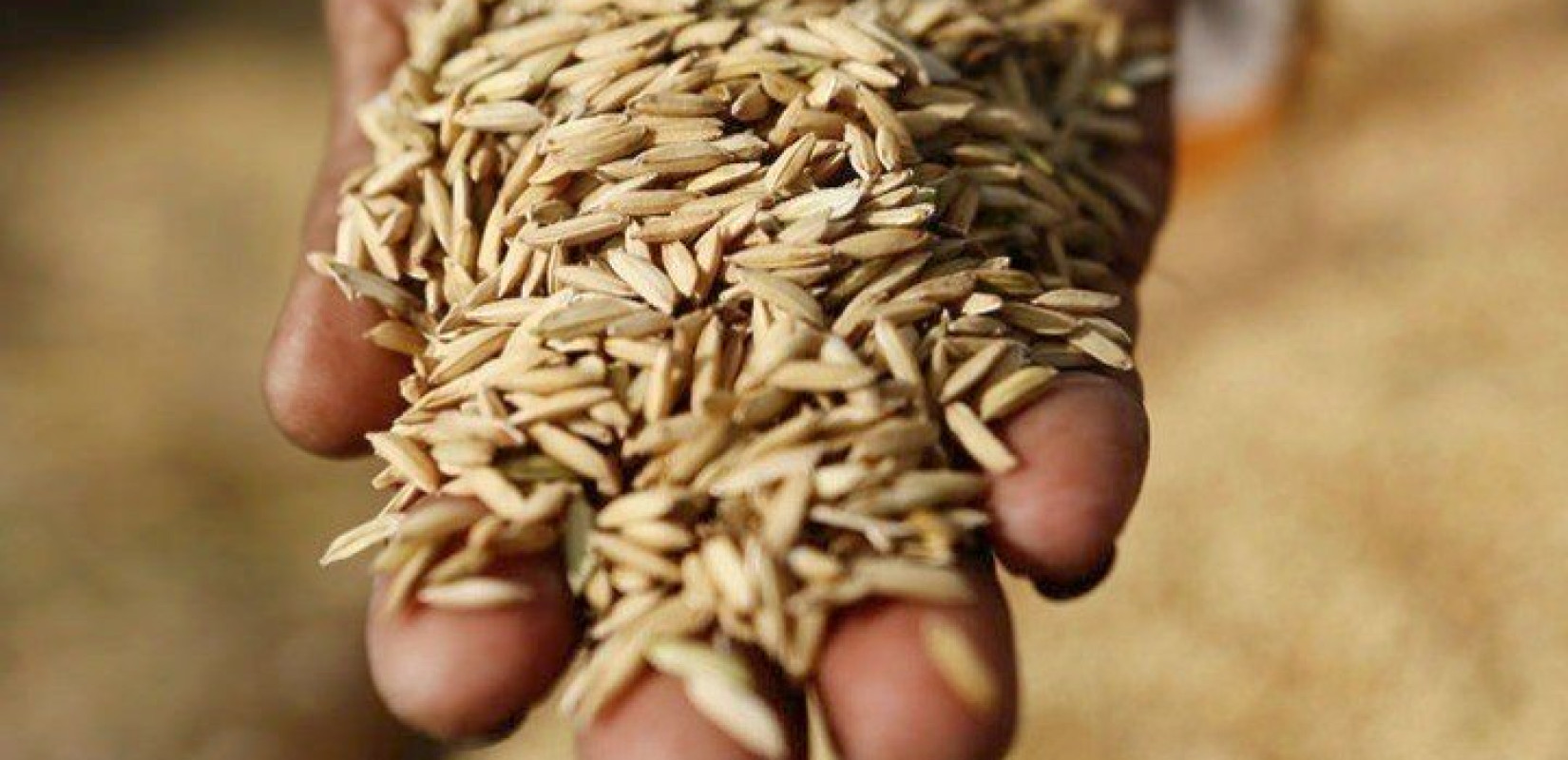 Θέτει όρους η Ρωσία για την παράταση της συμφωνίας για τα σιτηρά