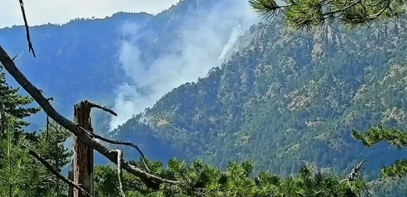 Γρεβενά: Χωρίς ενεργό μέτωπο η φωτιά στη Βάλια Κάλντα