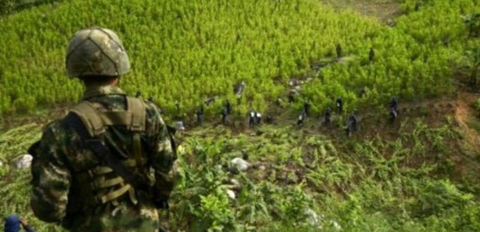 Κολομβία: Οι ΗΠΑ επιθυμούν «ανοικτή και έντιμη συζήτηση» για τον πόλεμο κατά των ναρκωτικών