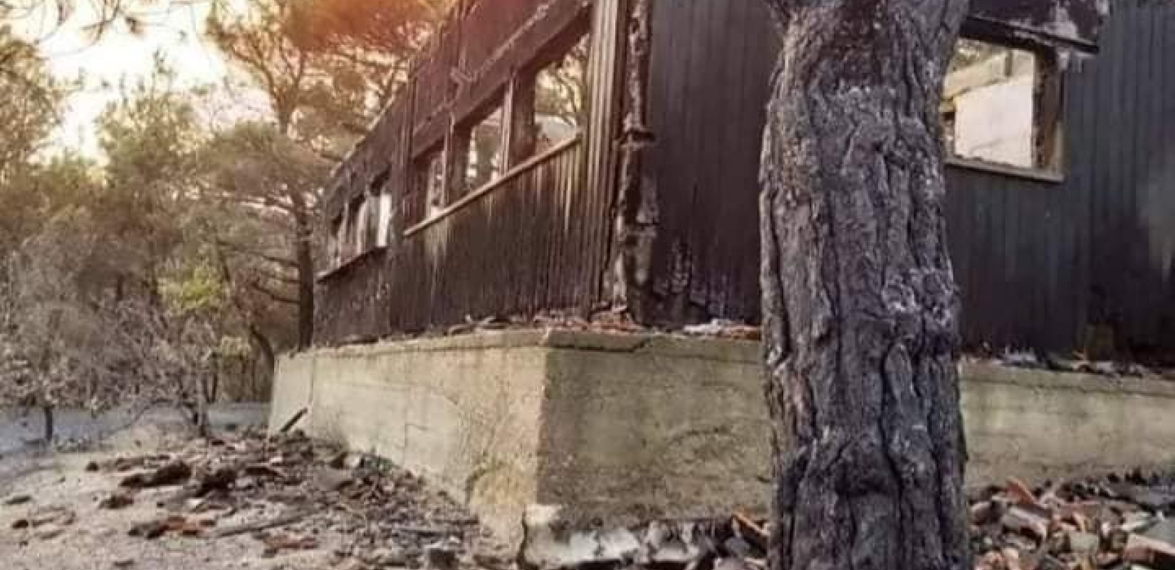 ﻿Πώς ήταν το παρατηρητήριο πουλιών στο δάσος της Δαδιάς και πώς έγινε﻿