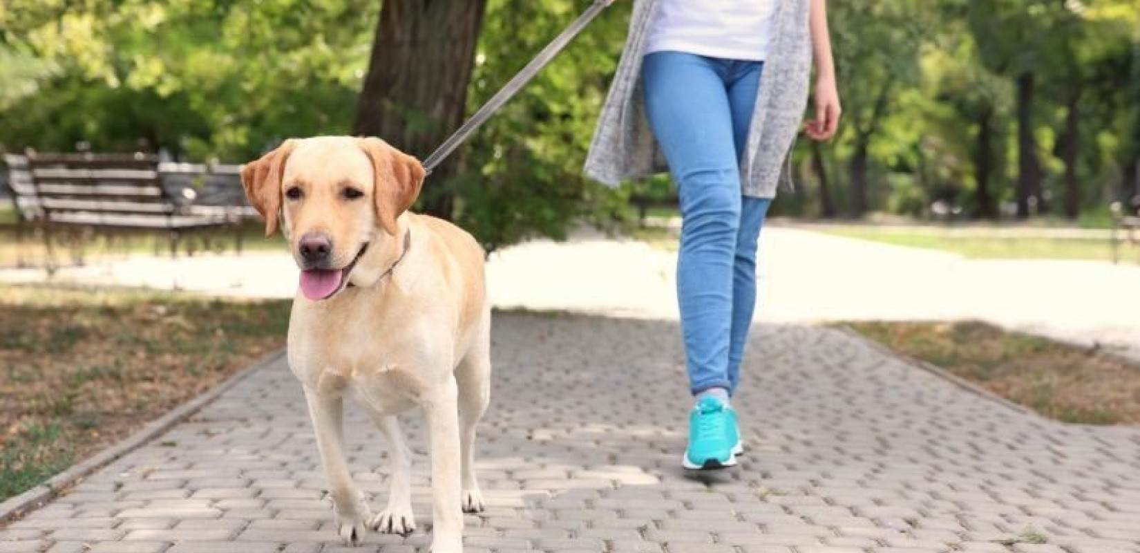 Θεσσαλονίκη: «Oh My Dog Thessaloniki» - Pet festival στη νέα Παραλία στις 18 & 19 Οκτωβρίου