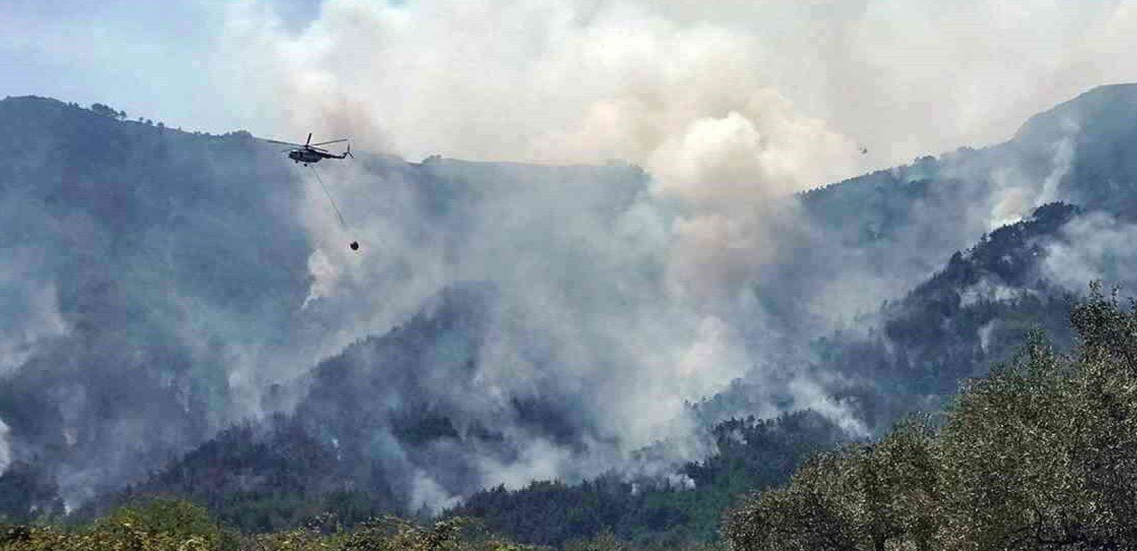 Για κακούργημα διώκεται ο 65χρονος που συνελήφθη στη Θάσο για εμπρησμό