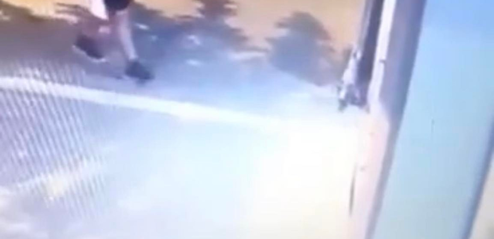 Θεσσαλονίκη: Ελεύθερος χωρίς περιοριστικούς όρους ο 40χρονος που κατηγορείται ότι ποδοπάτησε μέχρι θανάτου γατάκι