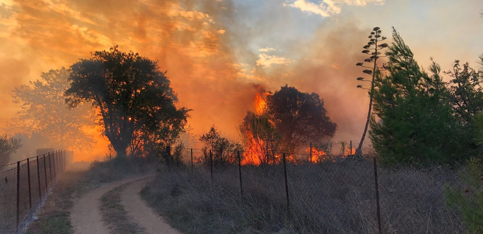 Αγρίνιο: Πυρκαγιά στην περιοχή Στράτος 