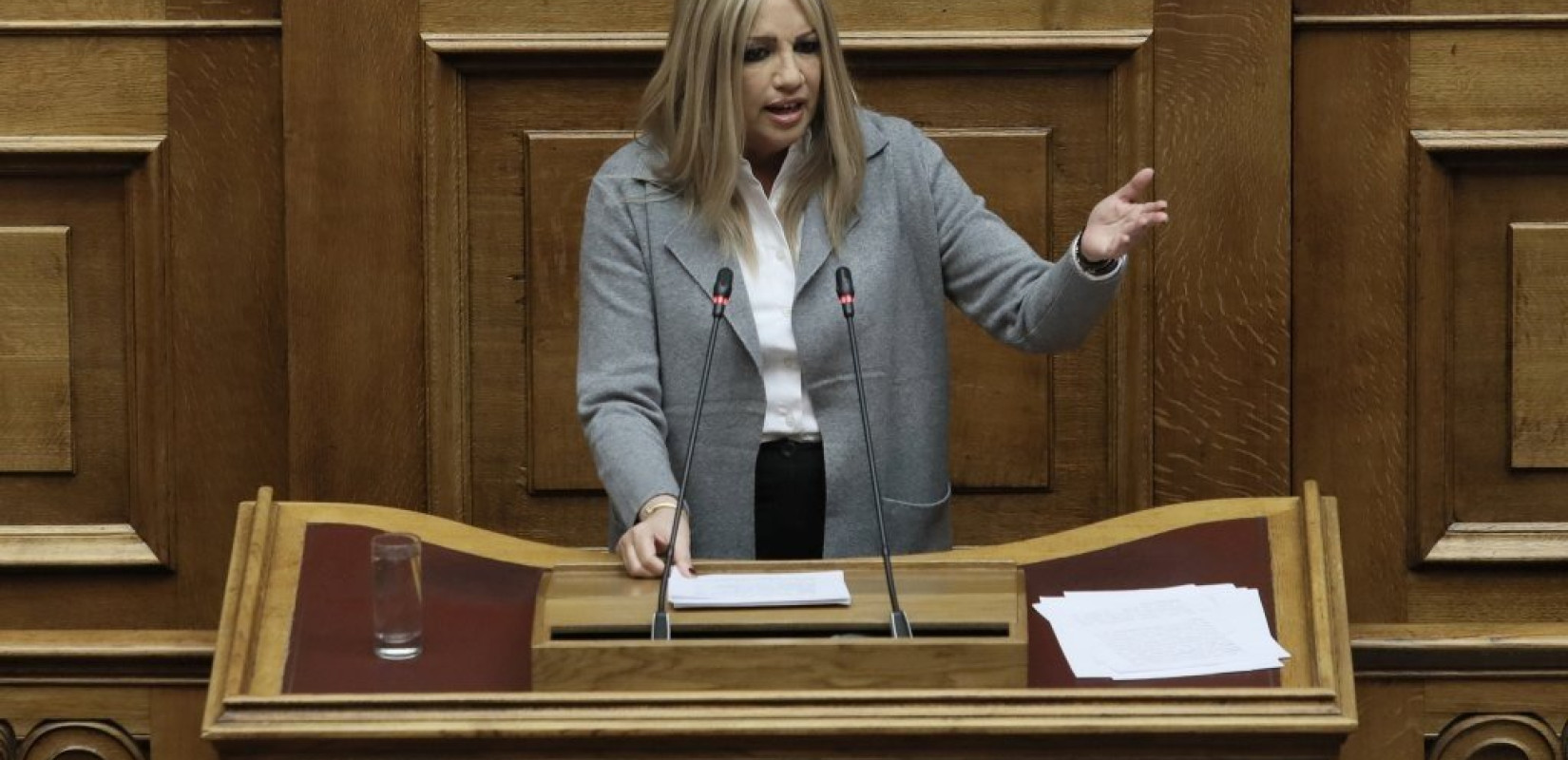 Γεννηματά σε Τσίπρα: Για μας είστε κυβέρνηση μειοψηφίας