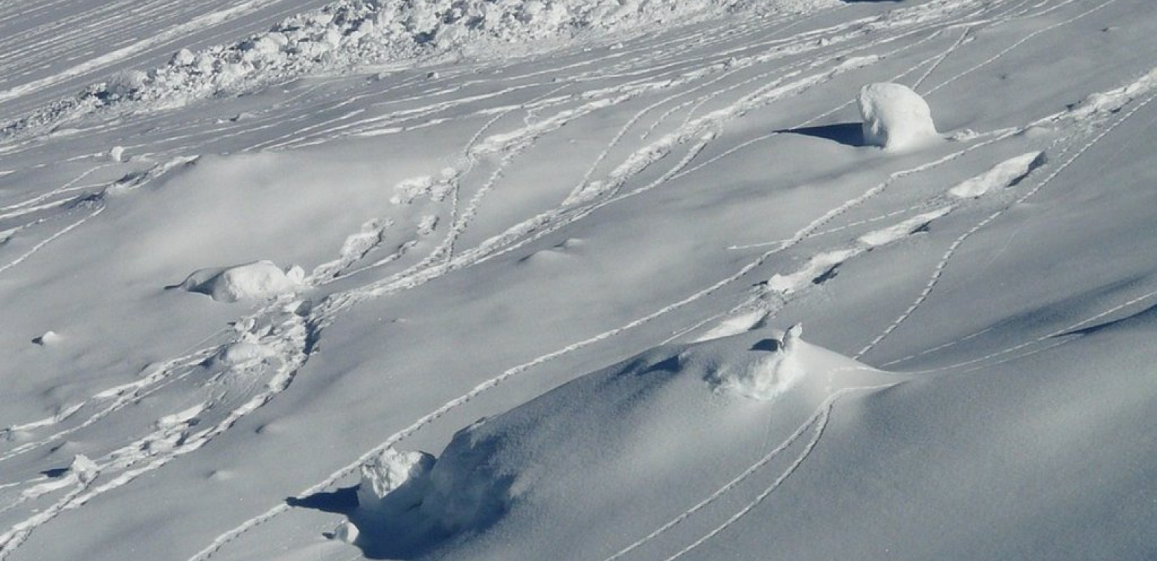 Ιμαλάια: Χιονοστιβάδα σκότωσε τέσσερις ορειβάτες
