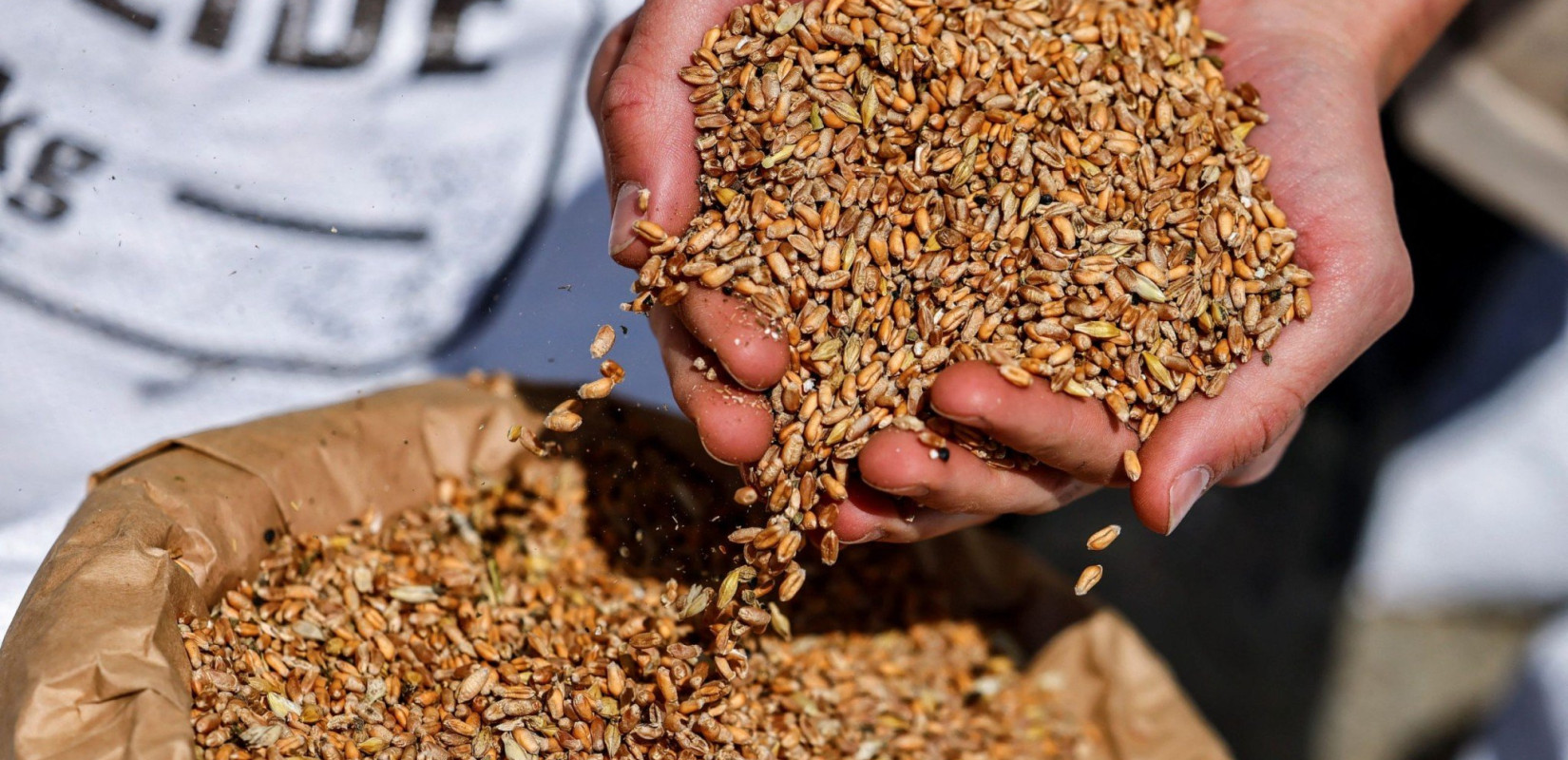 Σύμφωνη η Ρωσία με την παράταση της συμφωνίας για την εξαγωγή των ουκρανικών σιτηρών