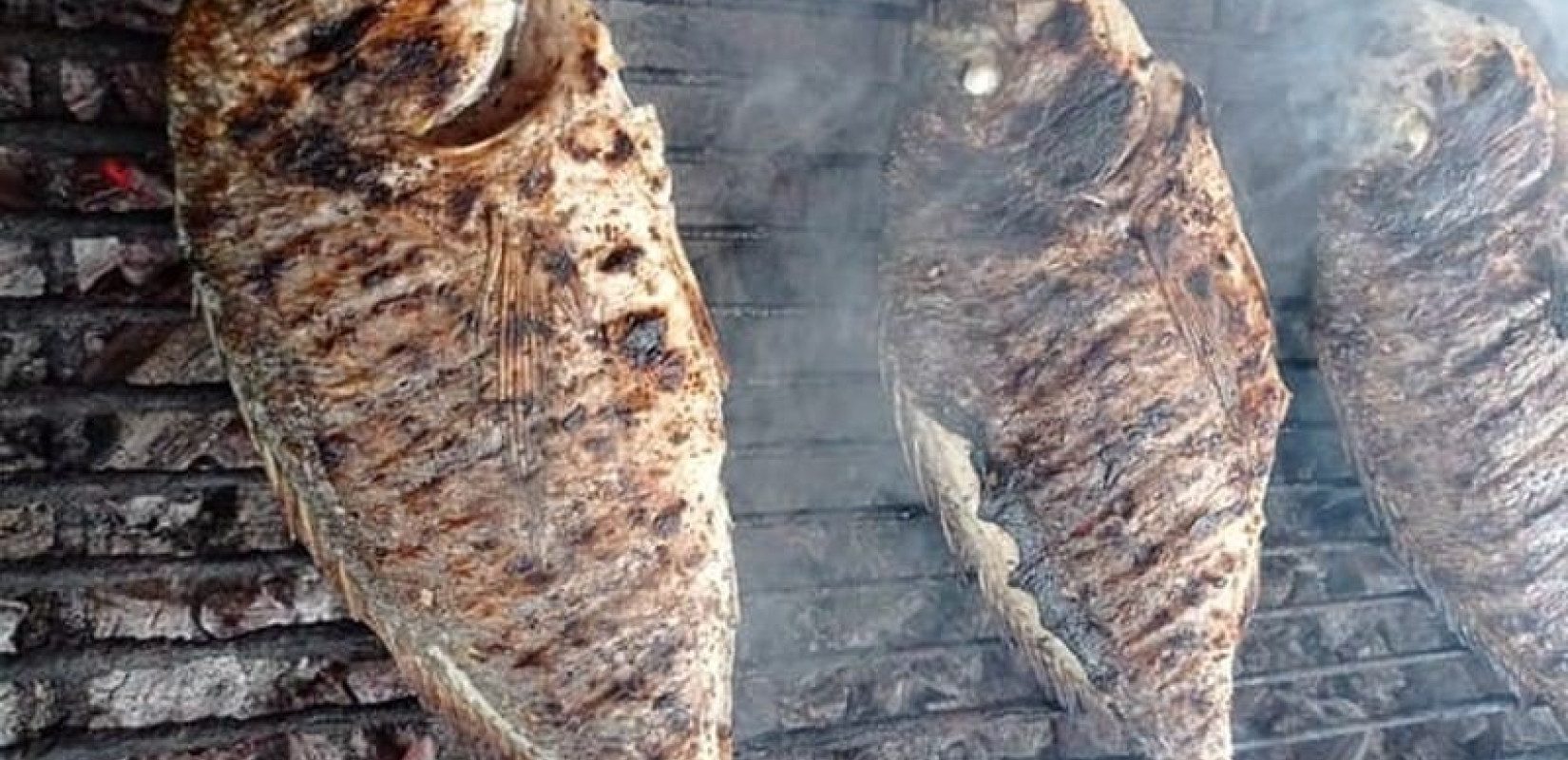 Απίστευτη διάρρηξη στα Γιάννενα: Διέρρηξαν ιχθυοτροφείο, έψησαν ψάρια και τα έφαγαν