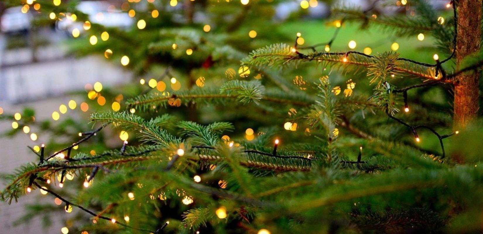 Χαλκιδική: Αναβολή φωταγωγήσης δέντρων σε Ορμύλια και Γαλάτιστα