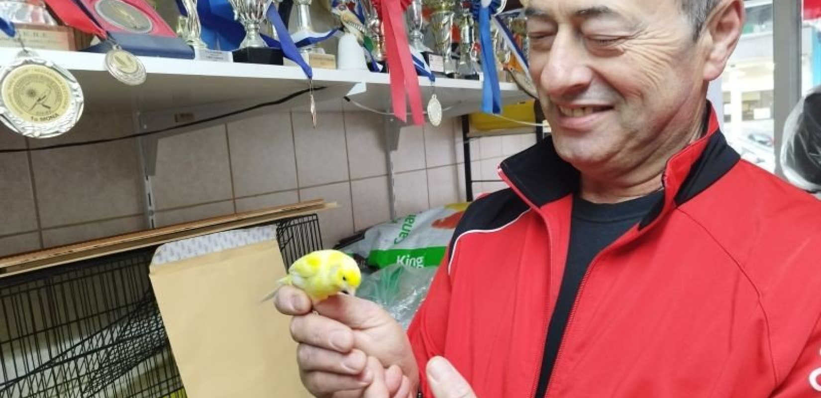 Οι καλύτεροι κελαηδιστές του κόσμου είναι... καναρίνια από τη Θεσσαλονίκη (φωτ.)