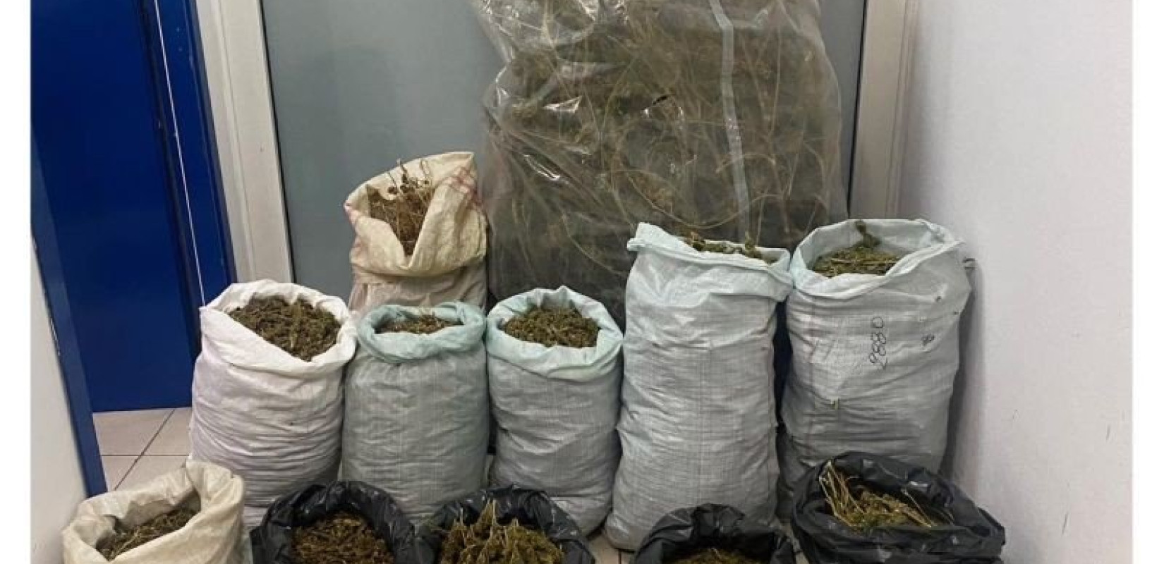 Κατερίνη: Μία σύλληψη για καλλιέργεια και κατοχή κάνναβης