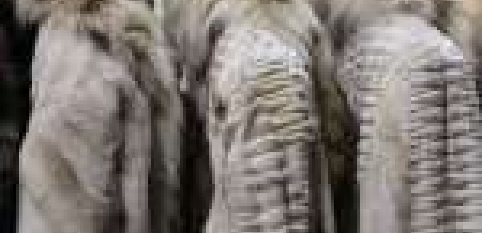 Υπουργείο Εργασίας: Αναστολή συμβάσεων εργασίας στον κλάδο της γουνοποιίας για τον Μάρτιο