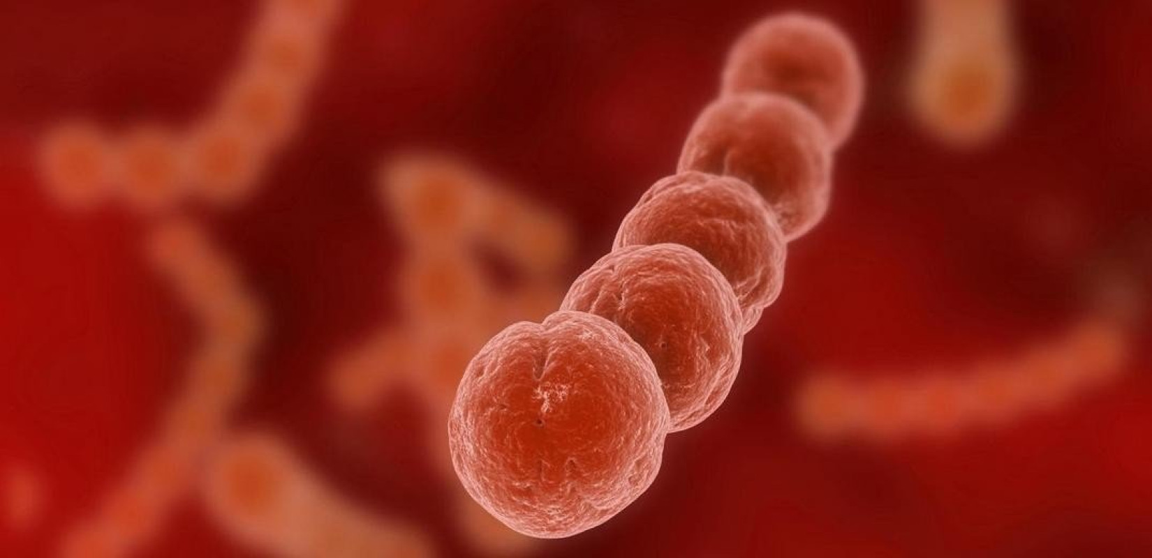 Ο πυογόνος στεπτόκοκκος και ο αναπνευστικός συγκυτιακός ιός από τις πιο συχνές αιτίες λοιμώξεων στα παιδιά