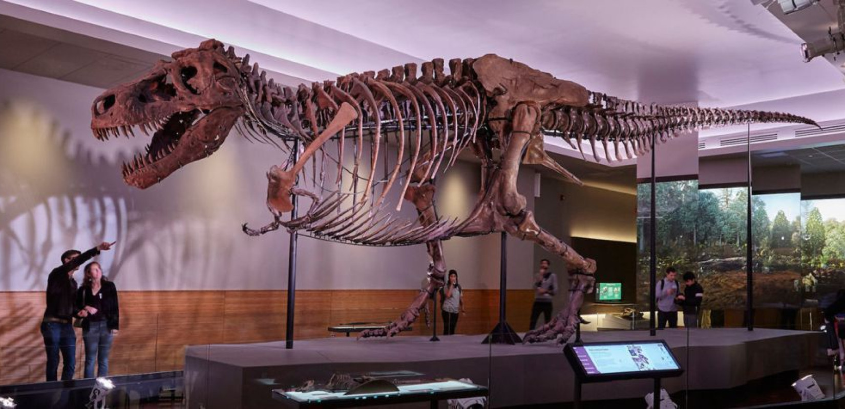 Ελβετία: Σε δημοπρασία ένας Τυραννόσαυρος Ρεξ