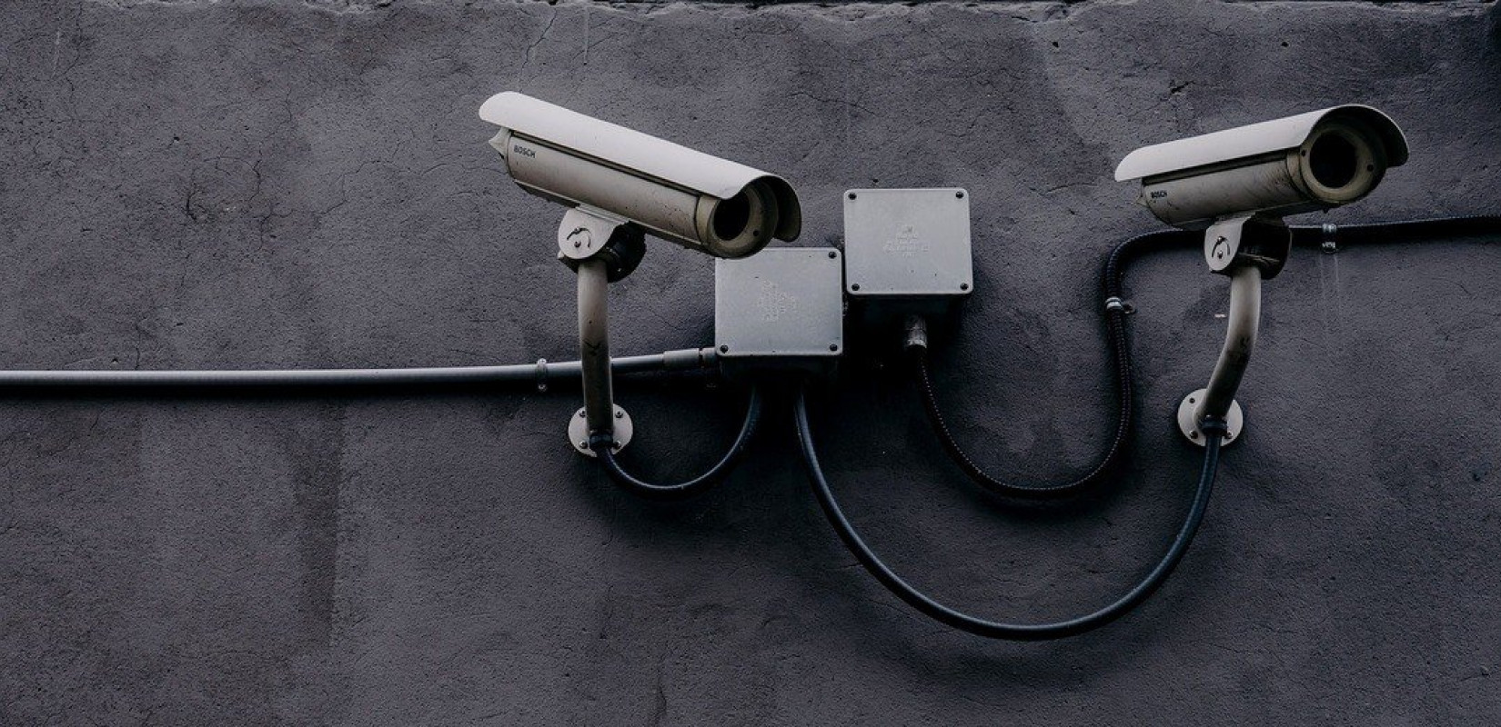 Κοζάνη: Θερμικές κάμερες και τεχνητή νοημοσύνη για εντοπισμό άγριων ζώων στο οδικό δίκτυο