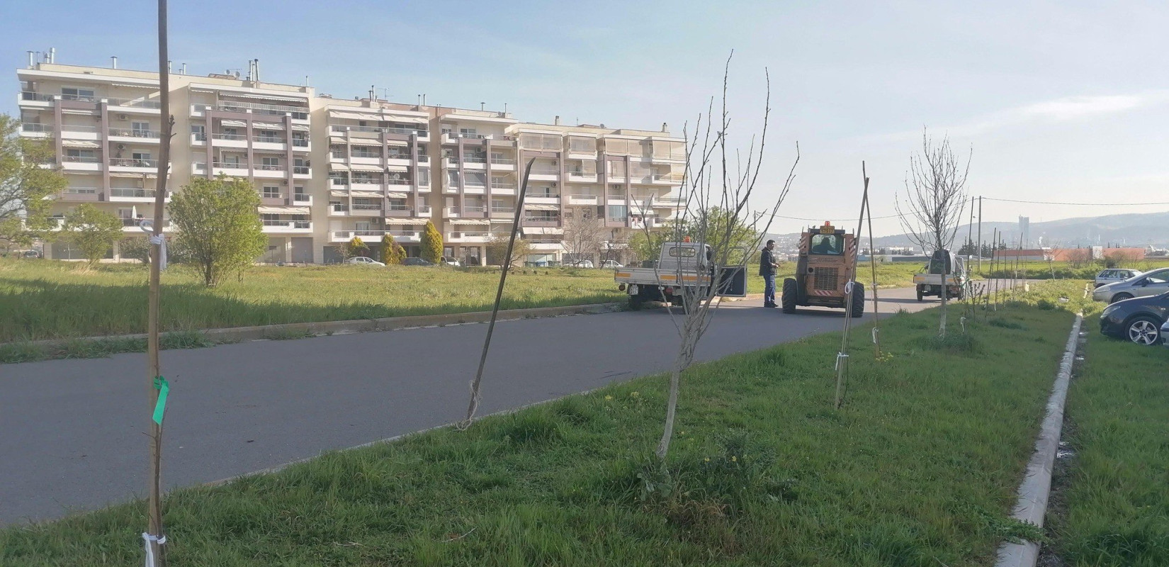 Δήμος Κορδελιού-Ευόσμου: Τριάντα σφενδαμόδεντρα φυτεύτηκαν στην οδό Βοσπόρου