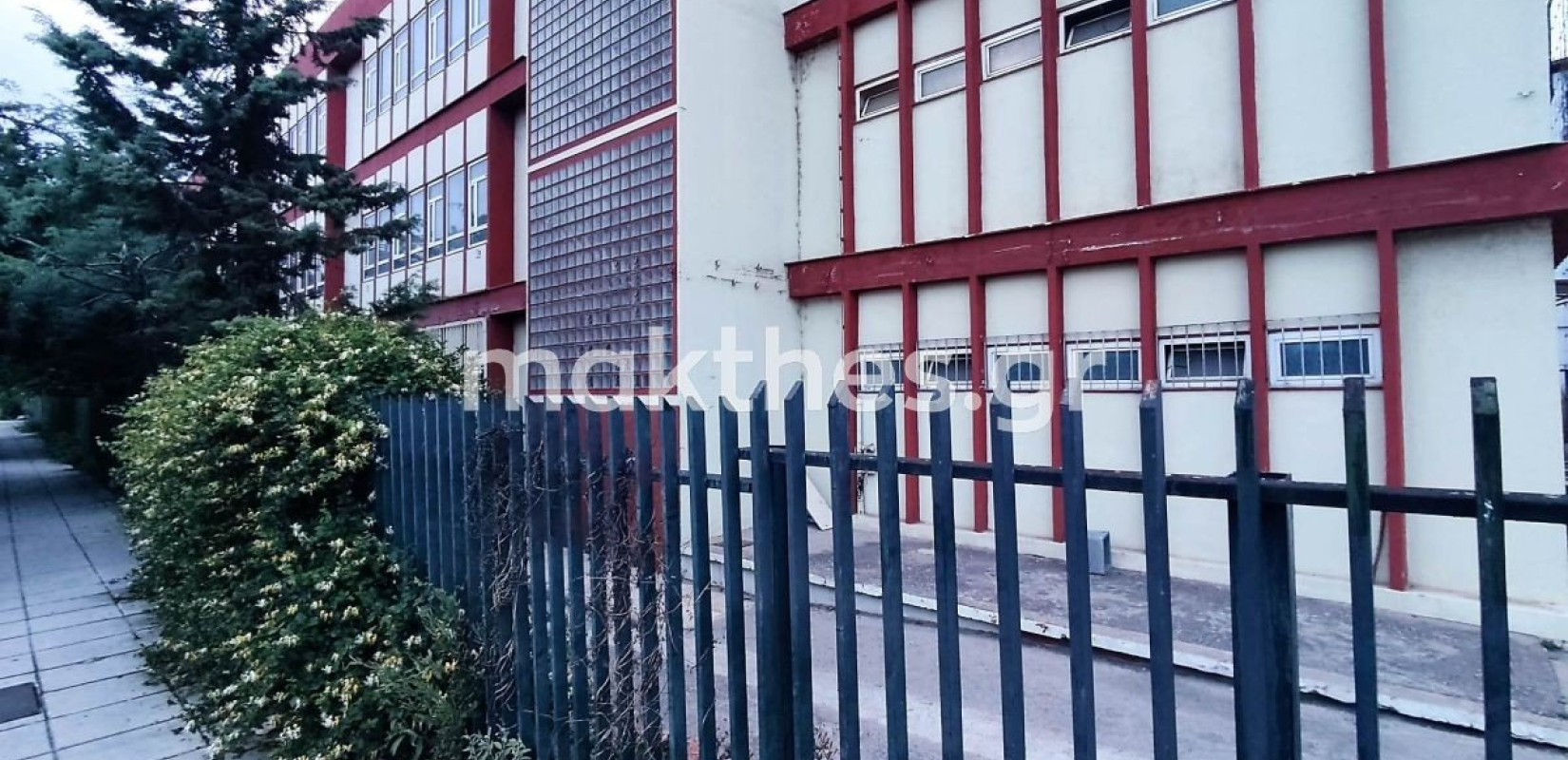 Θεσσαλονίκη: Μάχη για να κρατηθεί στη ζωή δίνει η ερπετολόγος που την δάγκωσε οχιά σε σχολείο - Τι αναφέρει το νοσοκομείο
