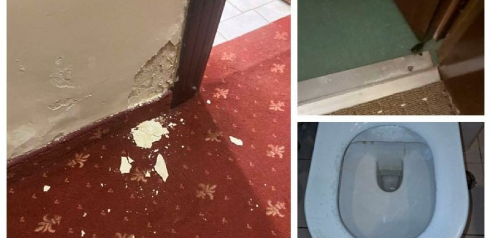 Θεσσαλονίκη: Έφεραν μαθητές από την Κύπρο σε ξενοδοχείο με κατσαρίδες και βρωμιά (βίντεο)