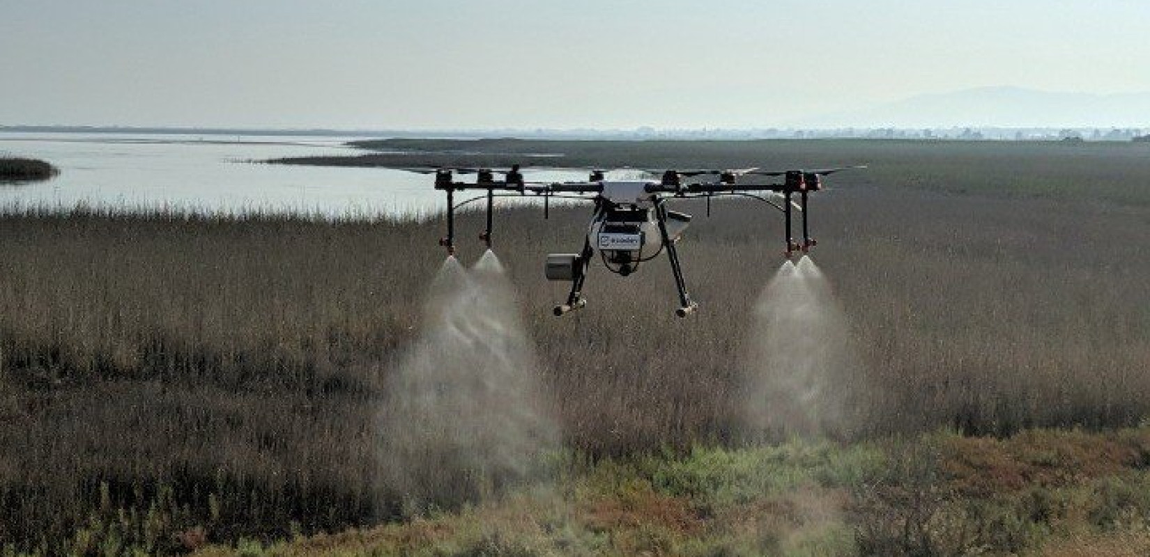 Θεσσαλονίκη: Χαμηλότερα επίπεδα κυκλοφορίας του ιού του Δυτικού Νείλου φέτος