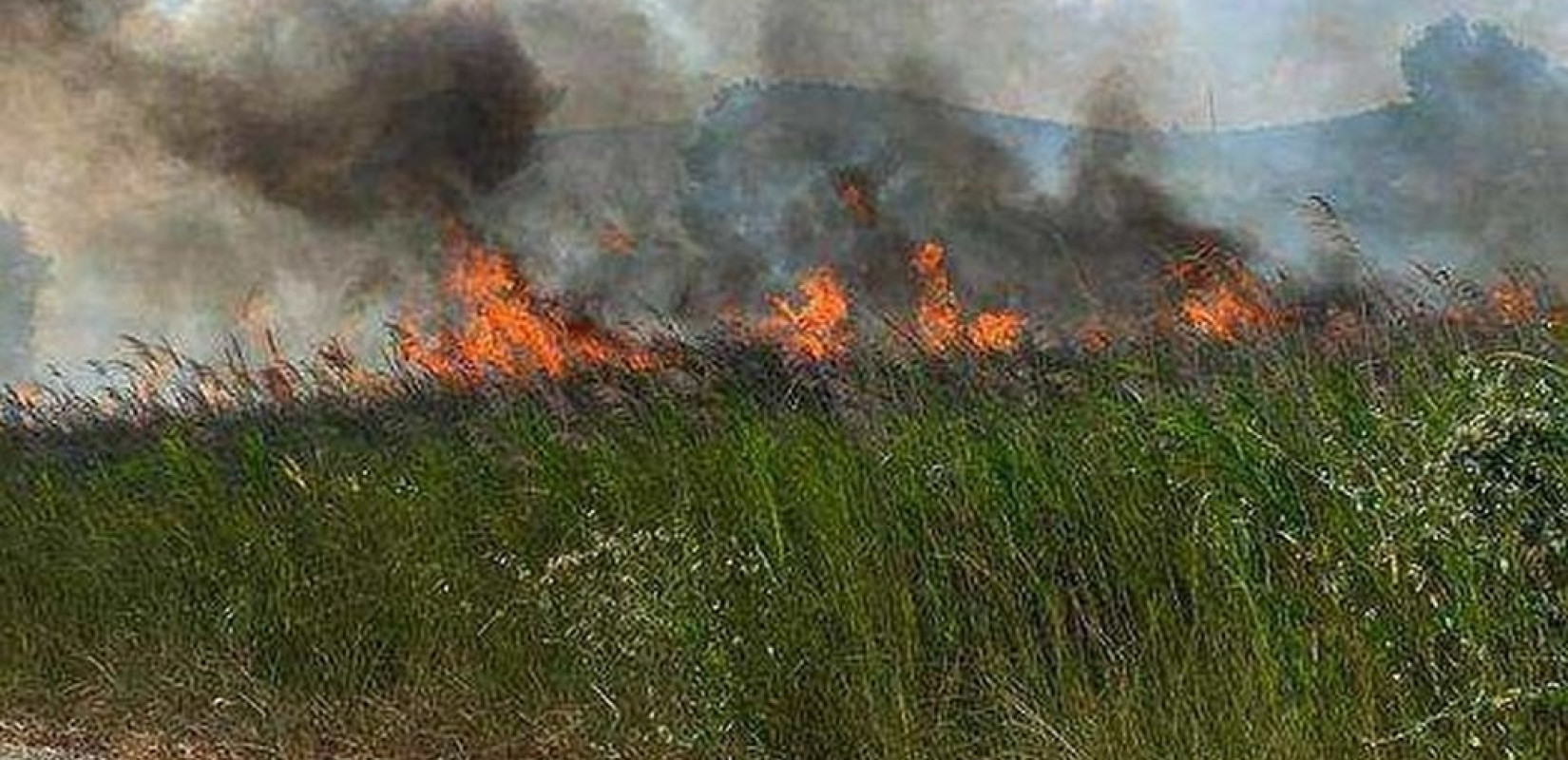 Σε συναγερμό Θεσσαλονίκη, Χαλκιδική και Καβάλα για τον κίνδυνο πυρκαγιάς