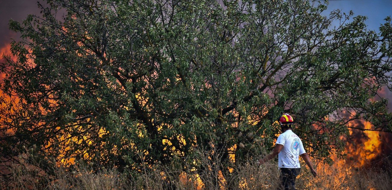 Φωτιά στην Ξάνθη - Επιχειρούν και εναέρια μέσα