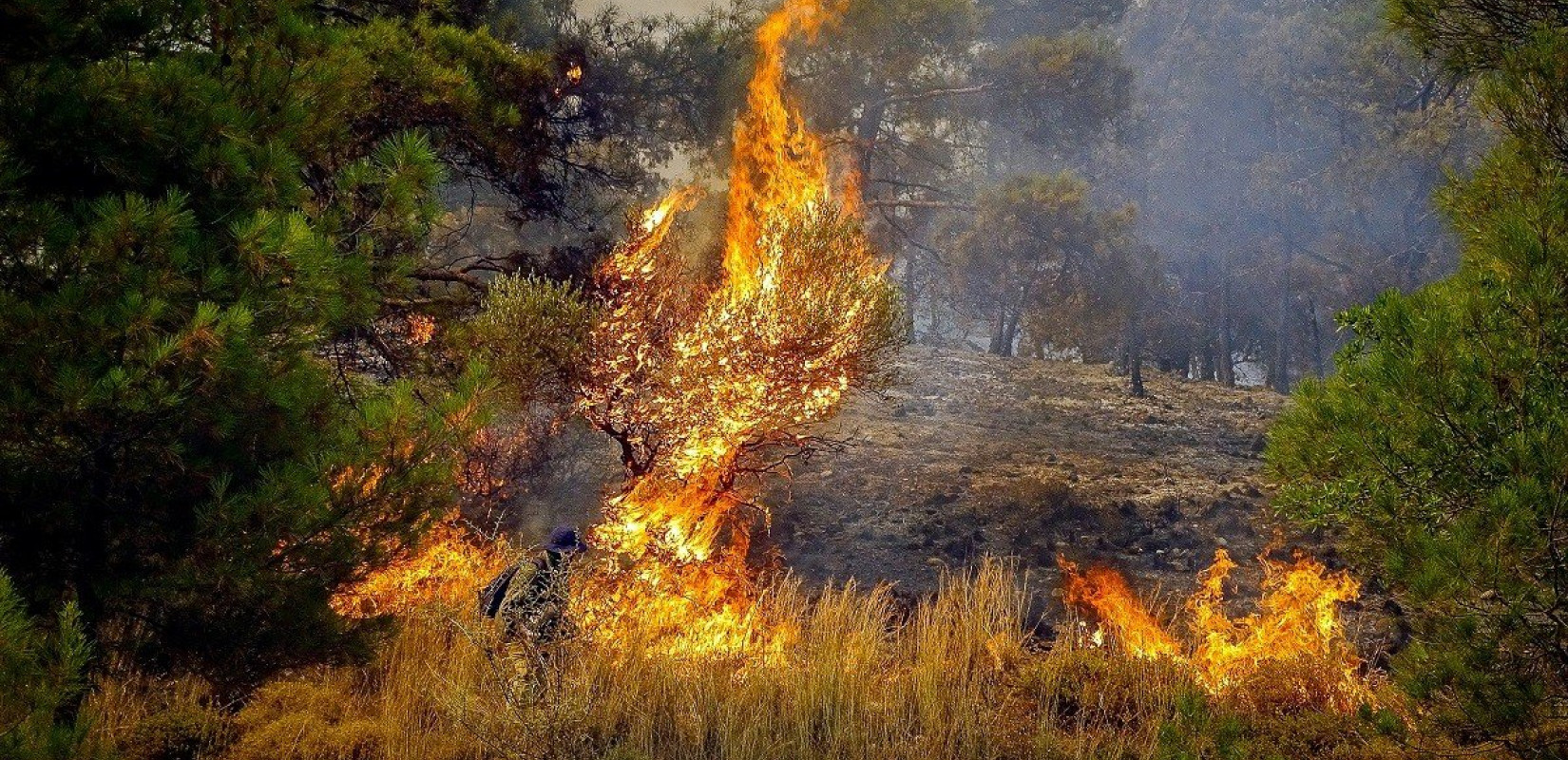 Συνεχίζεται η μάχη με τις φλόγες στη Ρόδο - Χάθηκαν χιλιάδες στρέμματα παρθένου δάσους (βίντεο)