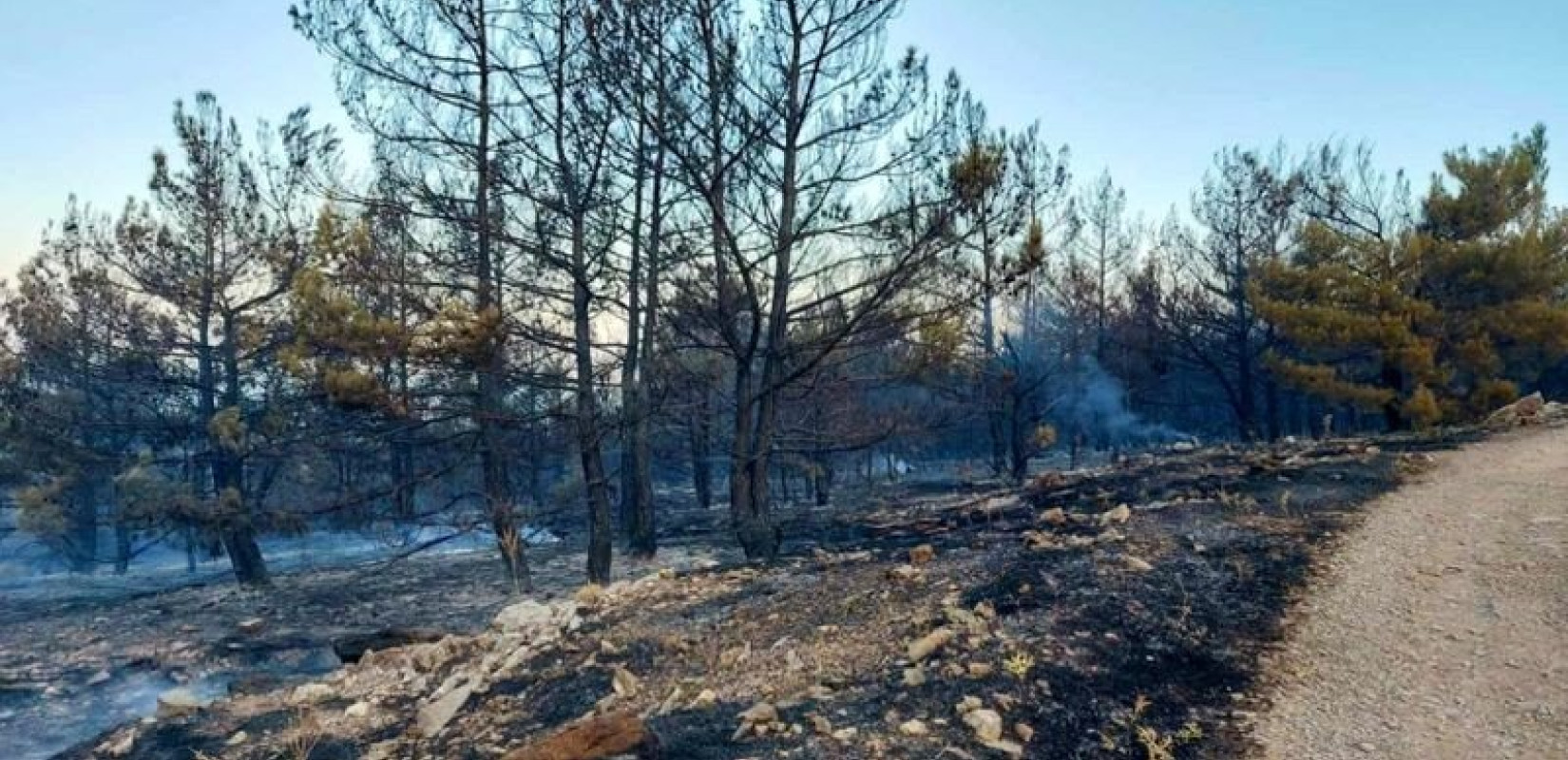 Χωρίς ενεργό μέτωπο η πυρκαγιά στην Αιανή Κοζάνης