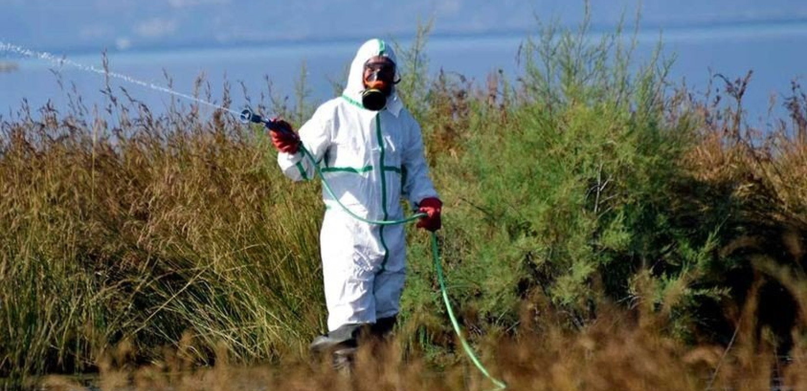 Επίγειοι ψεκασμοί για τα κουνούπια στον Δήμο Λαγκαδά από 7 έως 11/8/2023 