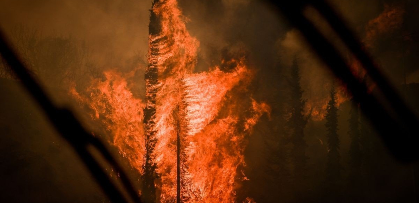 Προφυλακίστηκε ο εμπρηστής που έβαλε τις φωτιές στο Πετρωτό του Δομοκού