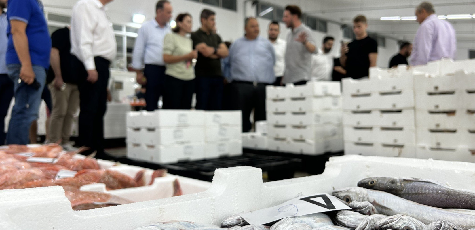 Θεσσαλονίκη: O Αυγενάκης δεσμεύθηκε για  την ανάπτυξη της ιχθυόσκαλας στη Νέα Μηχανιώνα