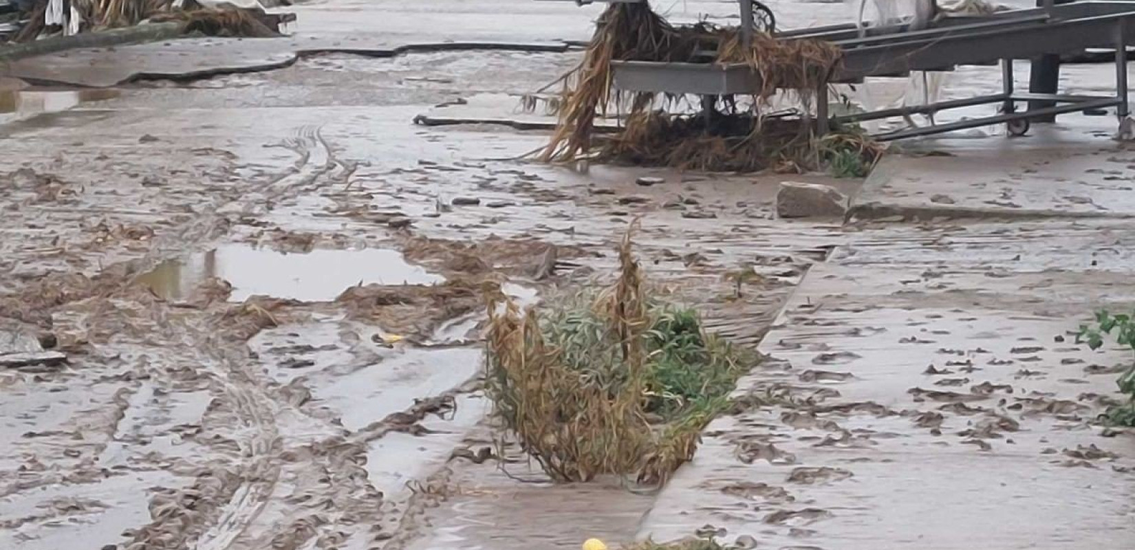 Κακοκαιρία «Daniel»: Έσπασε ανάχωμα του Πηνειού - Μήνυμα από το 112 για Βρυότοπο και Αμπελώνα (βίντεο)