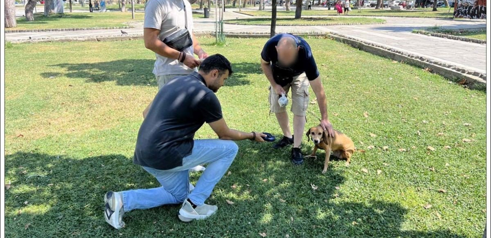Έλεγχοι της ΕΛΑΣ σε ιδιοκτήτες ζώων συντροφιάς στη Θεσσαλονίκη - Βεβαιώθηκαν 44 πρόστιμα