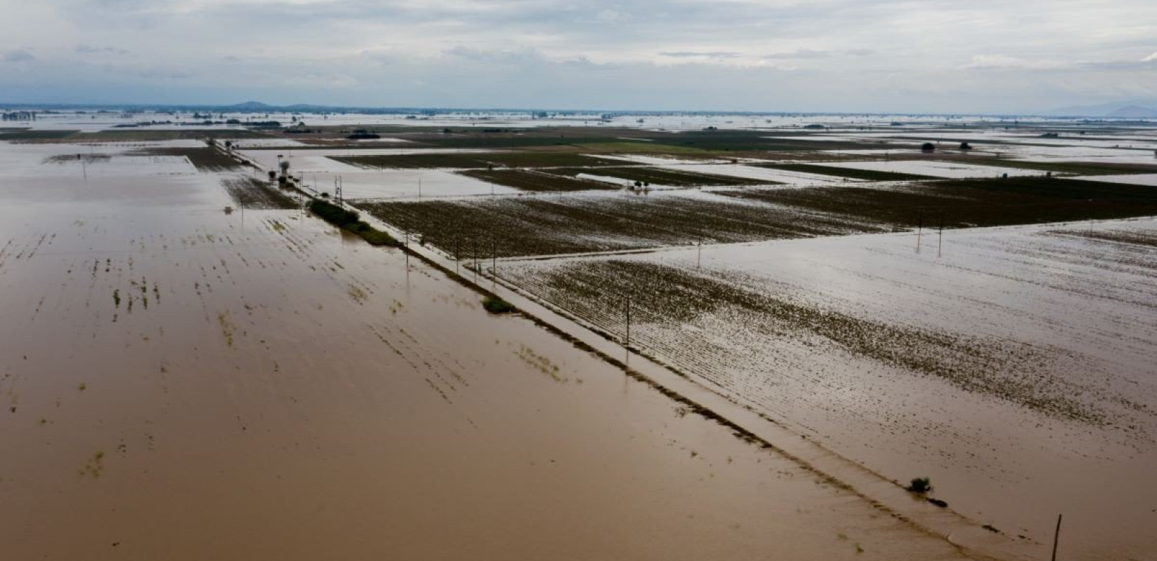 Φωτογραφία αρχείου