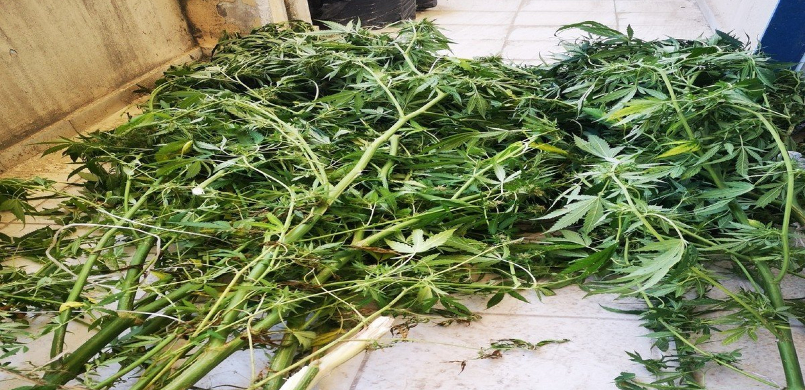 Συλλήψεις για ναρκωτικά σε Σέρρες και Ημαθία