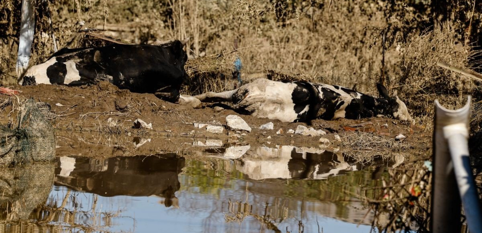 Πληρώθηκαν 54 εκατ. ευρώ σε θύματα της κακοκαιρίας Daniel από τον ΟΠΕΚΕΠΕ
