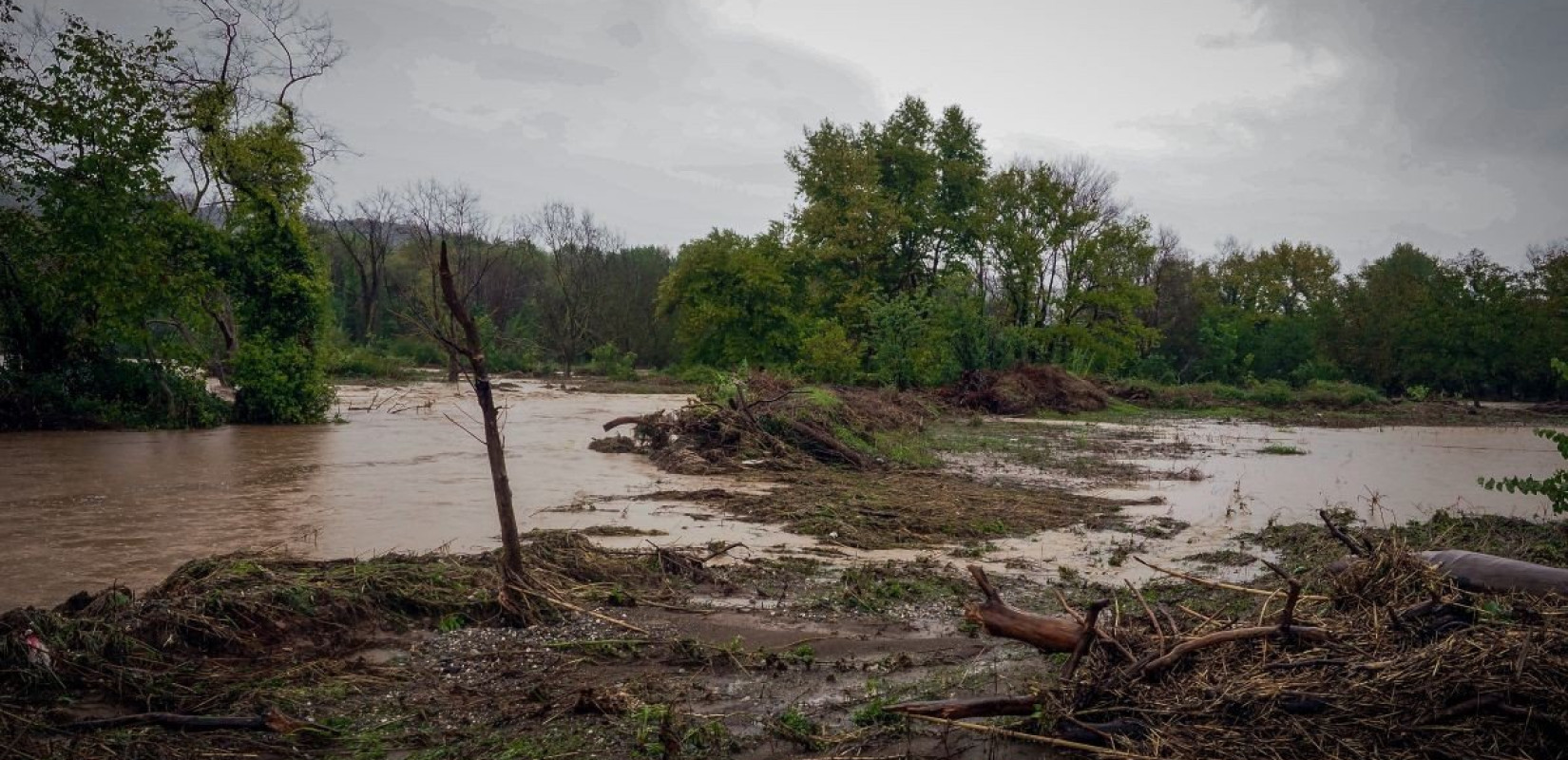 ΕΛΓΑ: Έως 3 Ιουνίου οι αιτήσεις για χορήγηση ενίσχυσης για την απώλεια φυτικού κεφαλαίου από τις θεομηνίες Daniel-Elias
