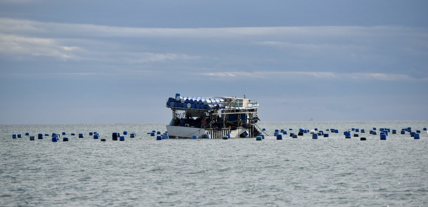 Πιερία: Τέσσερις συλλήψεις για παράνομη αλιεία μυδιών - Κατάσχεση σχεδόν δύο τόνων