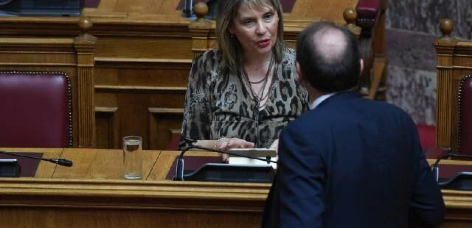Αγωγή στον Κυριάκο Μητσοτάκη θα καταθέσει η Κατερίνα Παπακώστα