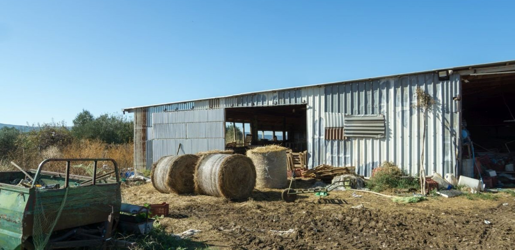 "Κίνδυνος δεντροκαλλιεργητές και κτηνοτρόφοι να εγκαταλείψουν το επάγγελμα" τονίζουν καθηγητές