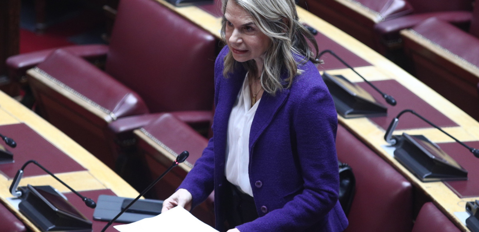 Μιλένα Αποστολάκη: «Παράθυρο ατιμώρητης κακουργηματικής απιστίας στο νομοσχέδιο της κυβέρνησης για τους Ποινικούς Κώδικες