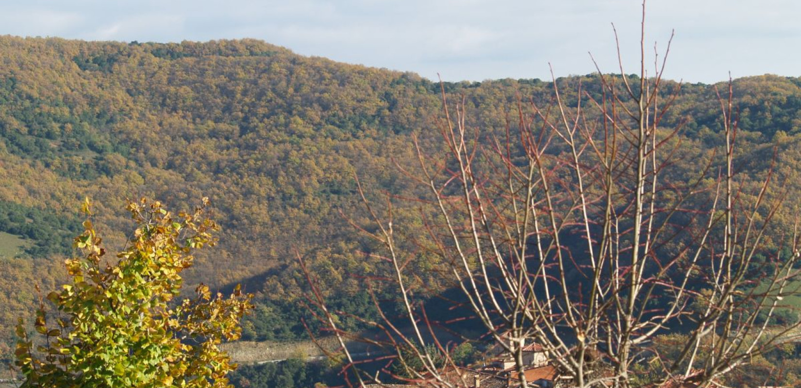 «Thessaly Evros Pass»: Πρόγραμμα 4.45 εκατ. ευρώ για την οικονομική στήριξη των περιοχών της Θεσσαλίας και του Έβρου