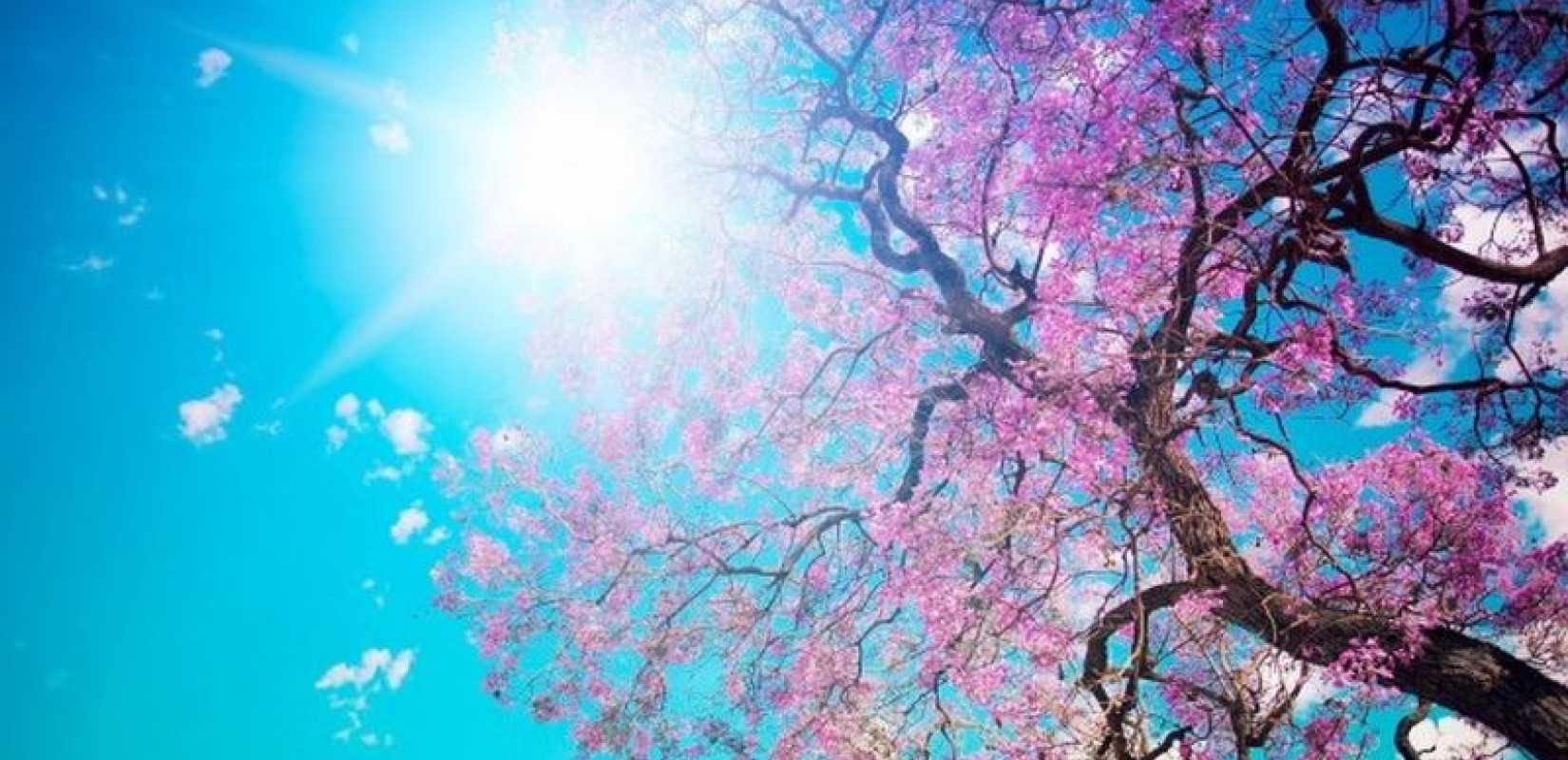 Καιρός: Ανεβαίνει η θερμοκρασία σήμερα - Έρχεται ξανά η άνοιξη τη Μεγάλη Εβδομάδα - Καλά τα νέα για το Πάσχα (βίντεο)