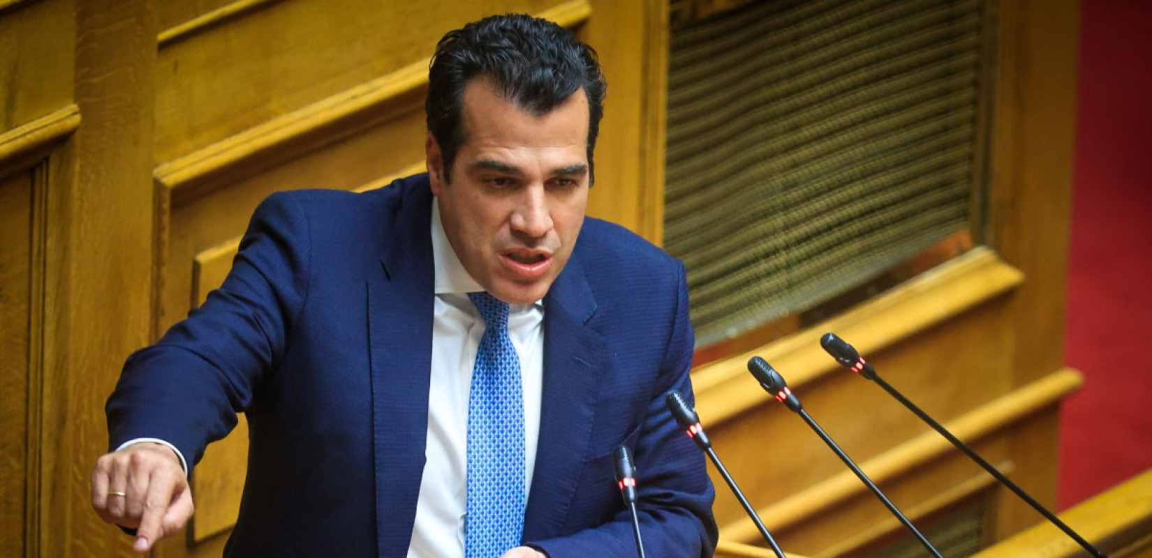 Θ. Πλεύρης - Συζήτηση για προανακριτική: Το ΠΑΣΟΚ πρέπει να περιγράψει ποια καθήκοντα παραβίασε ο Χ. Τριαντόπουλος και ποιον ήθελε να ωφελήσει