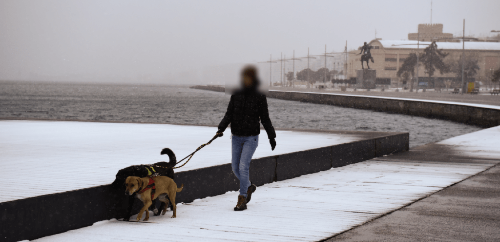 Τα πάνω κάτω έφερε ο φετινός χειμώνας στην Ευρώπη 