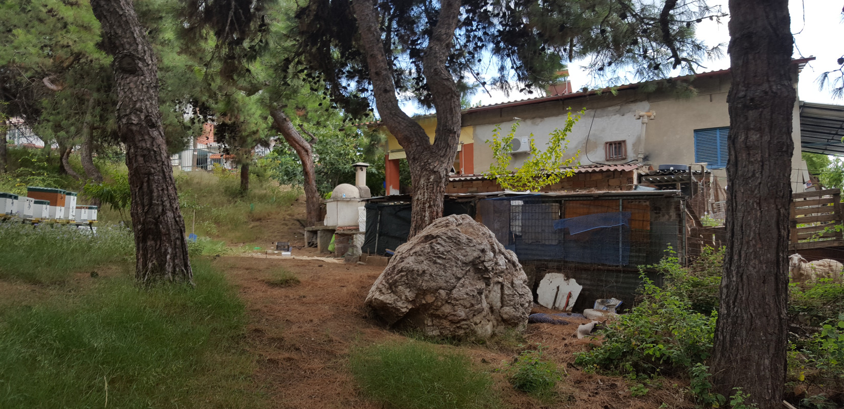 «Όργιο» αυθαιρεσίας στο δάσος των Μετεώρων - Καταπατητές έχτισαν μπάρμπεκιου, κοτέτσια και μελίσσια