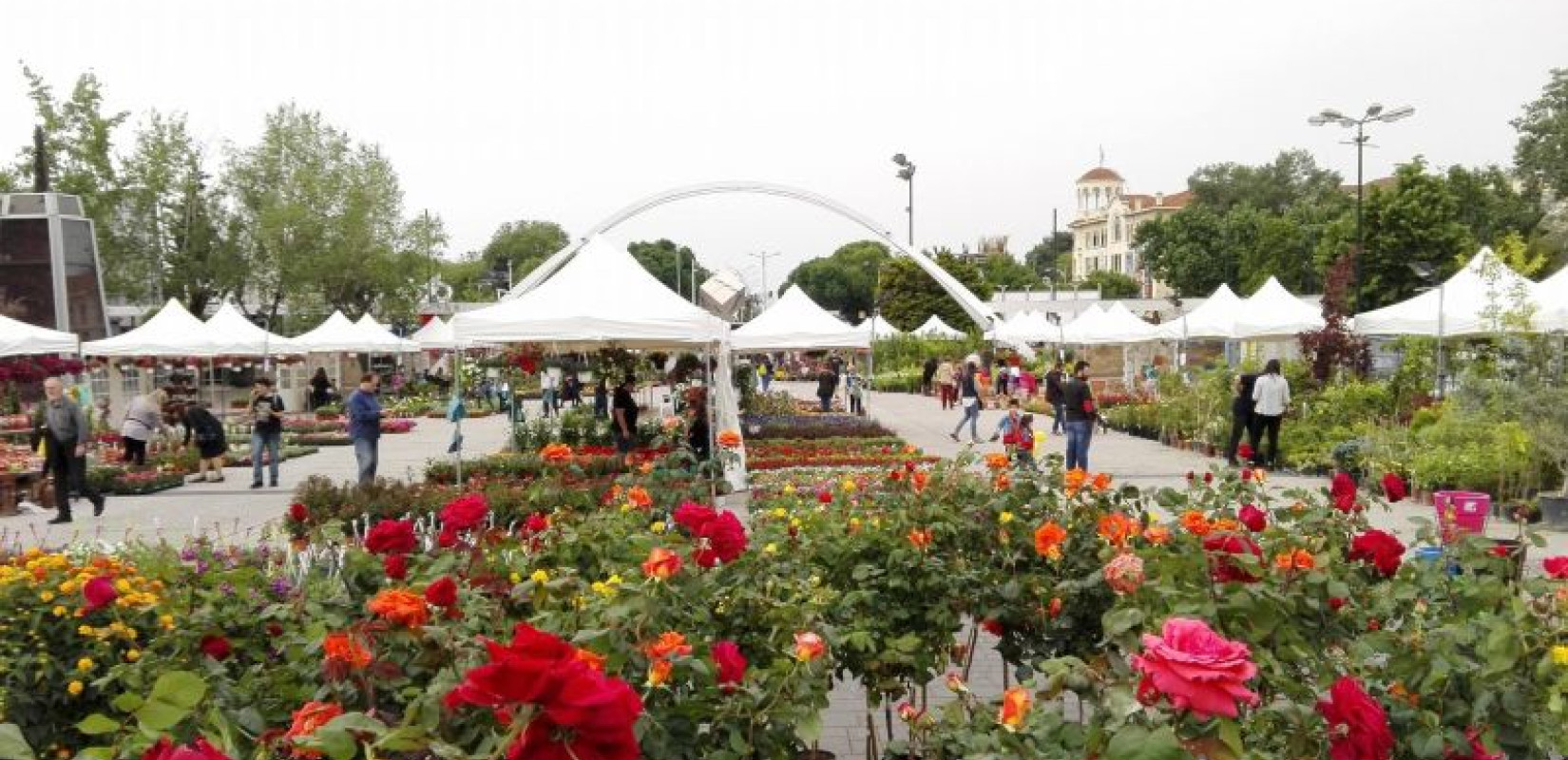 Ανθοεκθέσεις: Τι αγοράζουν οι Θεσσαλονικείς