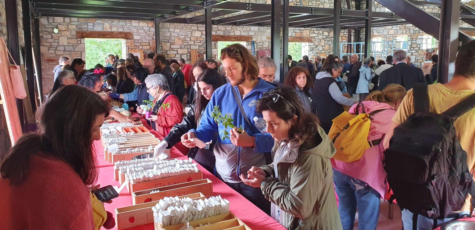 Δράμα: Χιλιάδες επισκέπτες στην 24η Γιορτή Σπόρων που διοργάνωσε το Πελίτι