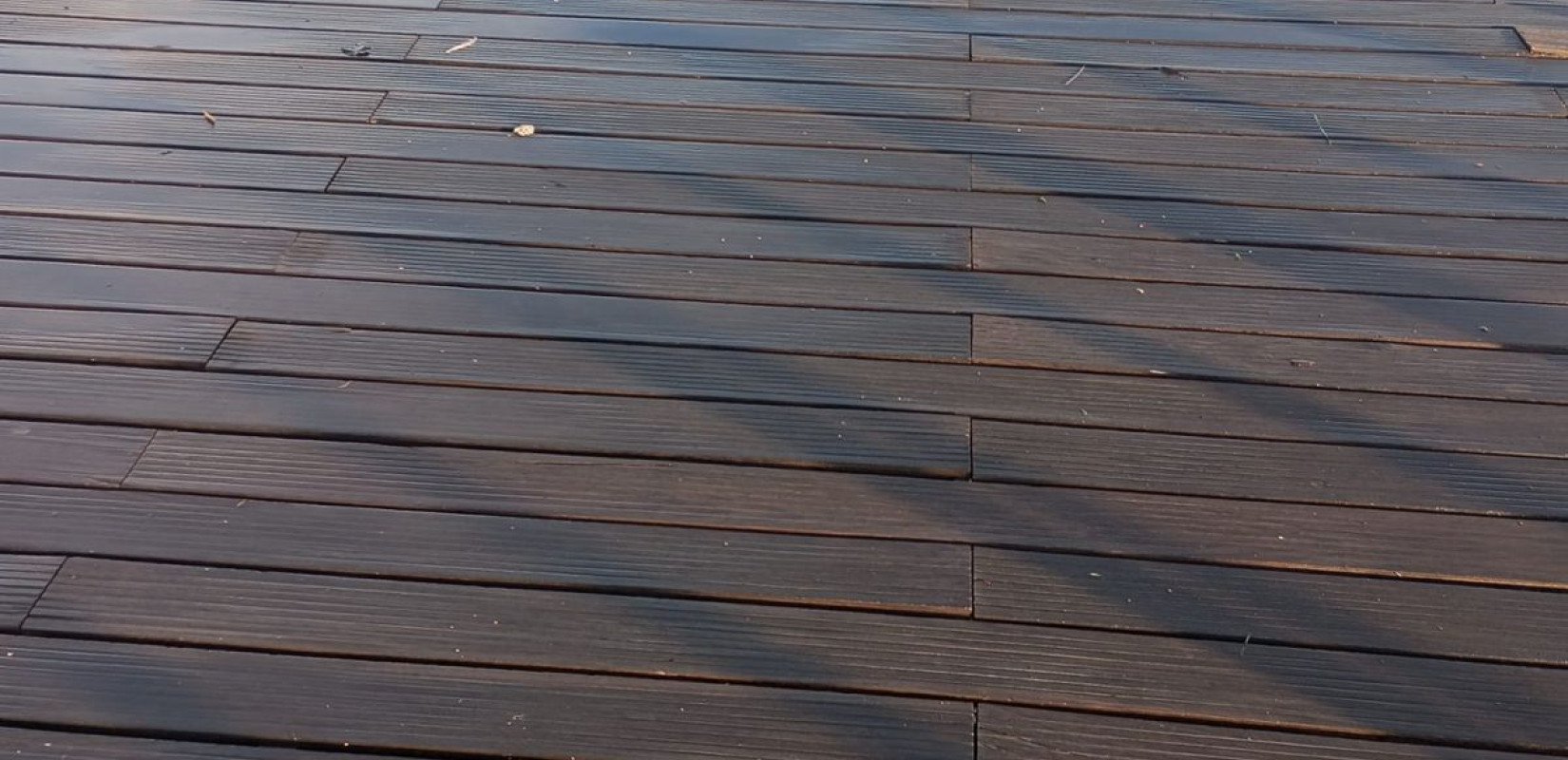 Θεσσαλονίκη: Οι «θησαυροί» τού Θερμαϊκού βγαίνουν μετά τις βροχές - Δεκάδες νεκρά ποντίκια στην παραλία (βίντεο)