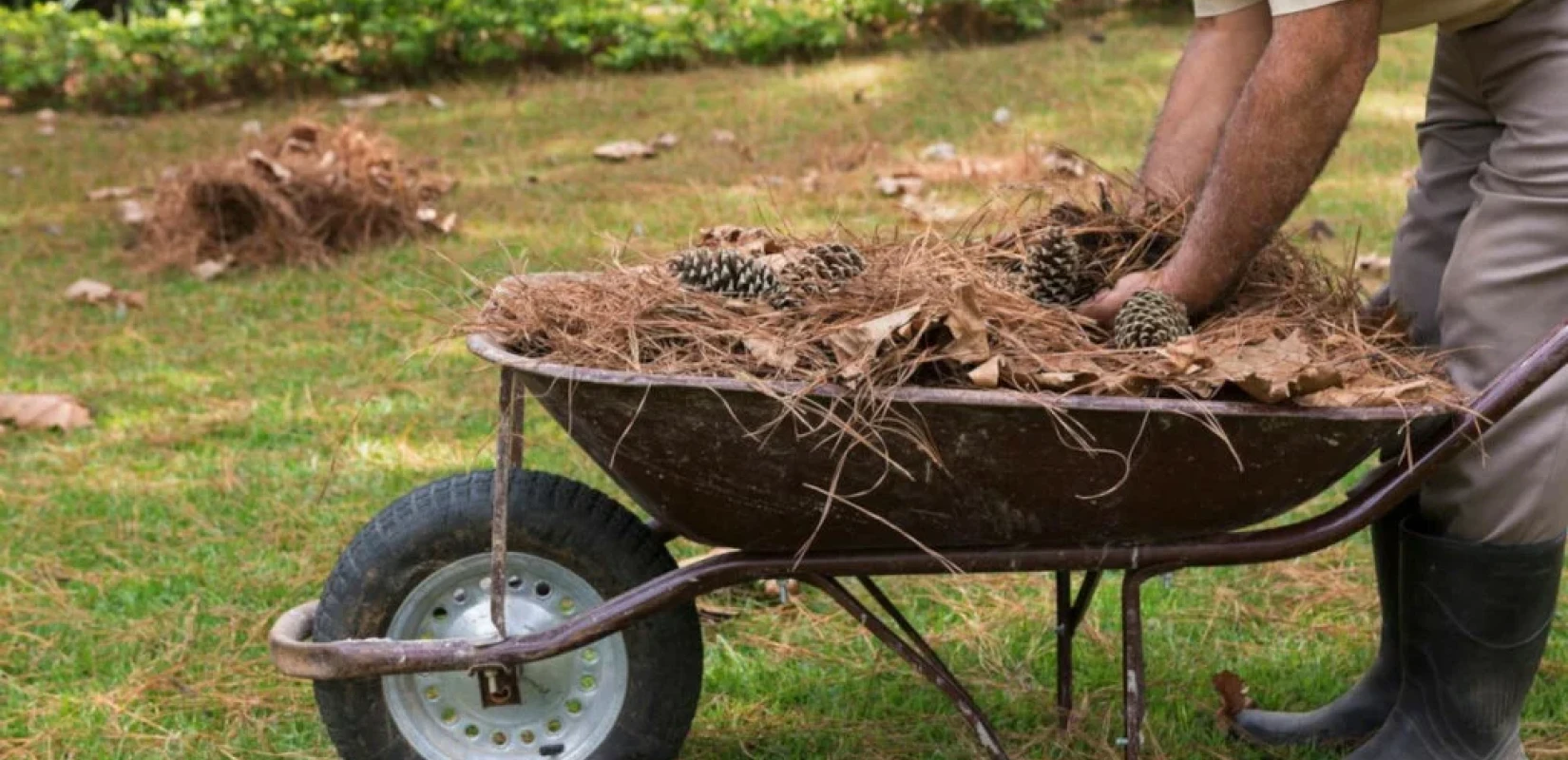 Άνοιξε η πλατφόρμα για τα ακαθάριστα οικόπεδα - Τι περιλαμβάνει ο απαιτούμενος καθαρισμός