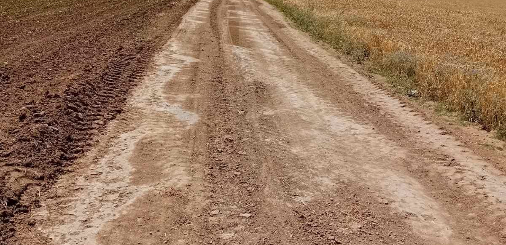 Θεσσαλονίκη: Διαμορφώθηκαν οι κυριότεροι αγροτικοί δρόμοι σε Επανομή και Μεσημέρι (φωτ.)